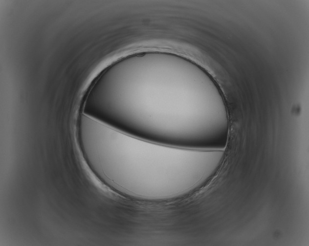 X0000097761523200803070825