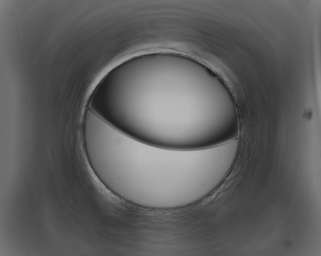 X0000097761524200803070825