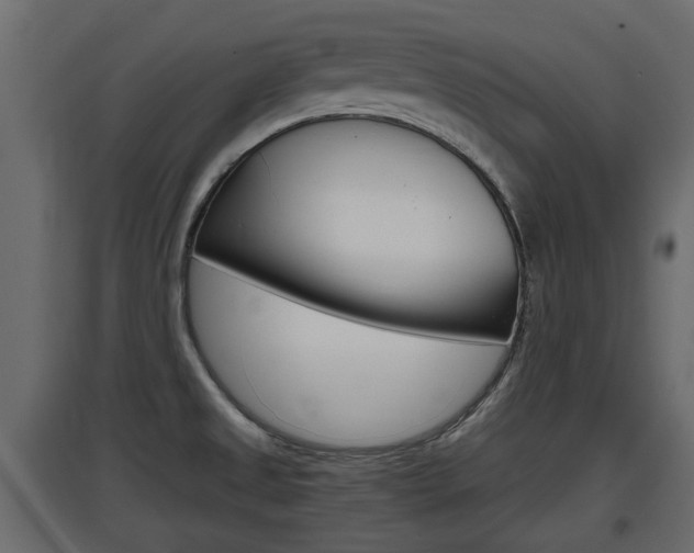 X0000097761525200803070825