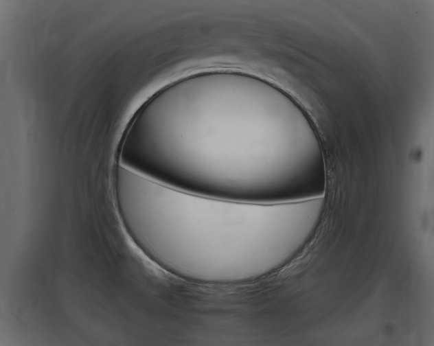 X0000097761527200803070825