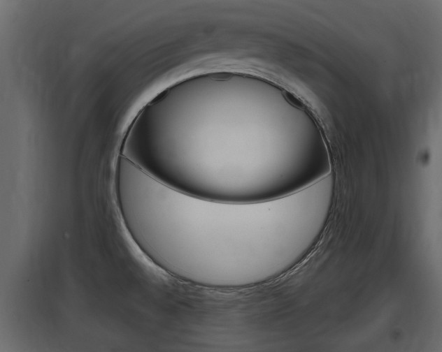 X0000097761528200803070825