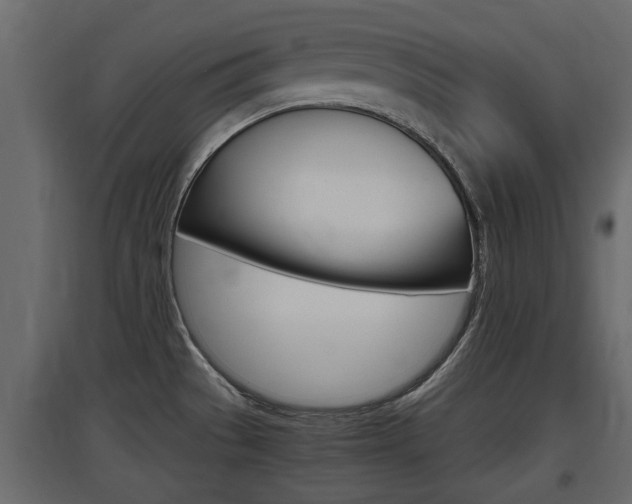 X0000097761529200803070825