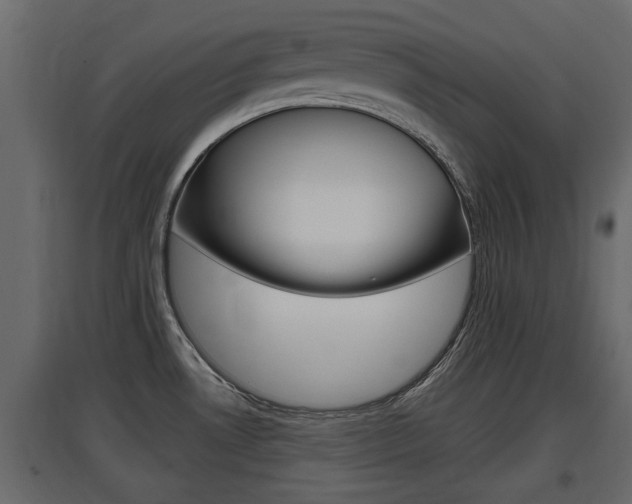 X0000097761530200803070825