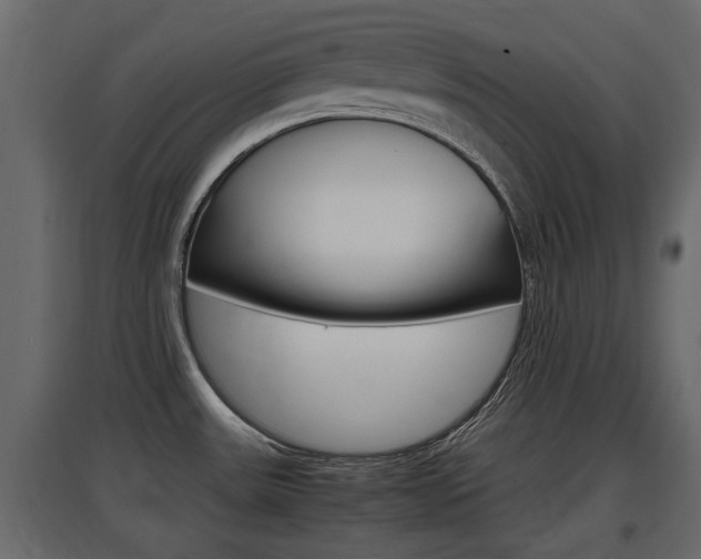 X0000097761531200803070825