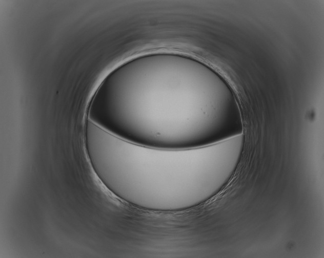 X0000097761532200803070825