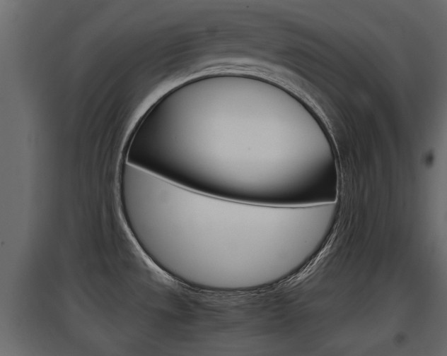X0000097761533200803070825