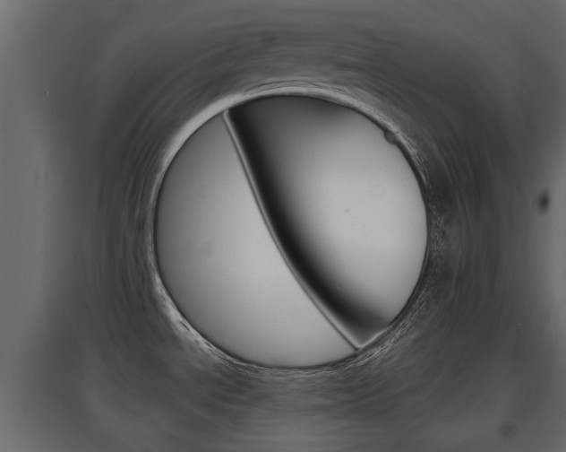 X0000097761534200803070825