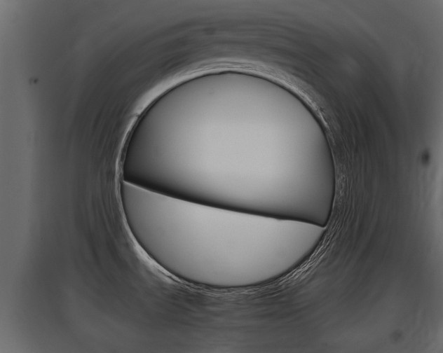 X0000097761535200803070825
