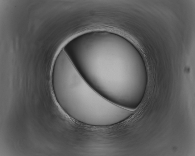 X0000097761536200803070825