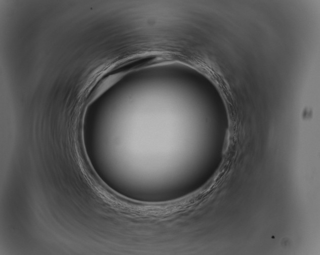 X0000097760001200803071305