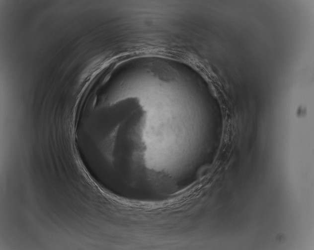 X0000097760002200803071305