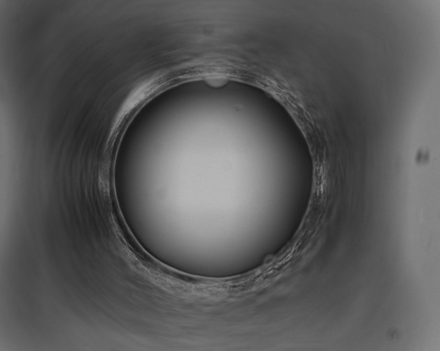 X0000097760004200803071305