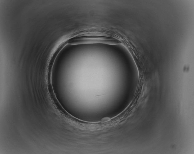 X0000097760006200803071305