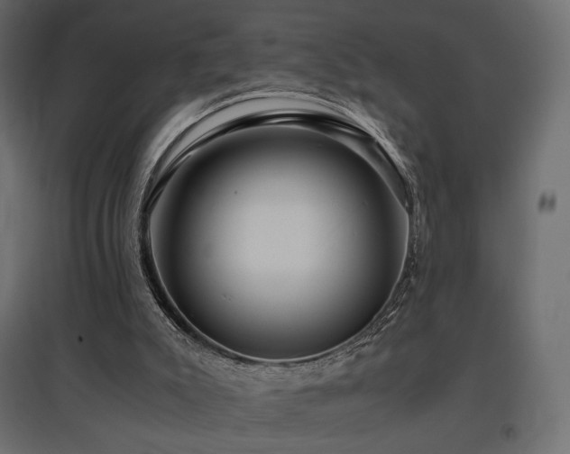 X0000097760007200803071305