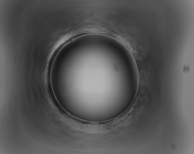 X0000097760008200803071305