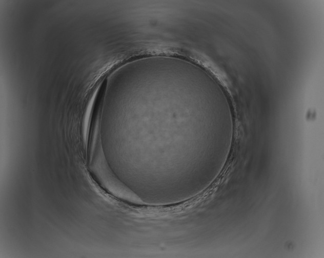 X0000097760009200803071305