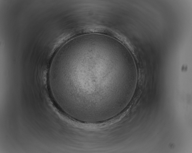 X0000097760010200803071305