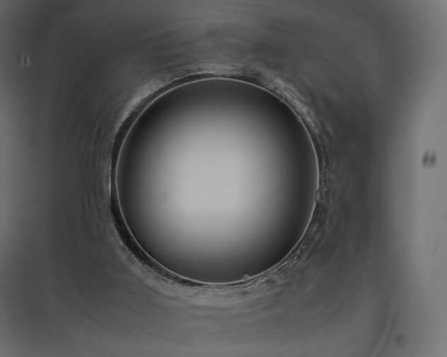 X0000097760011200803071305