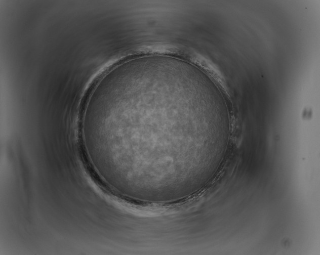 X0000097760012200803071305