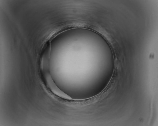 X0000097760013200803071305