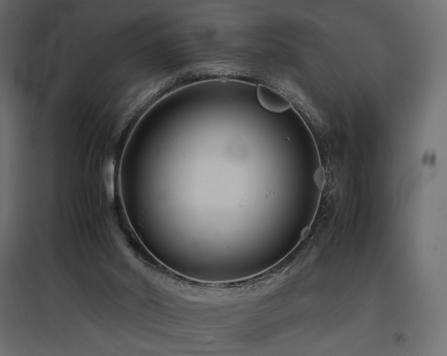 X0000097760014200803071305