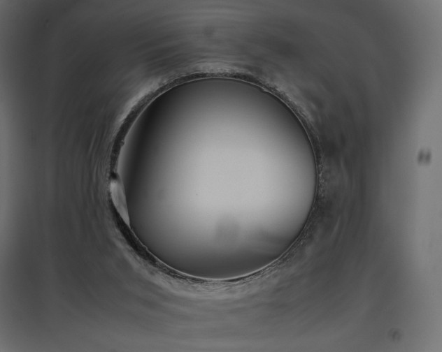 X0000097760015200803071305