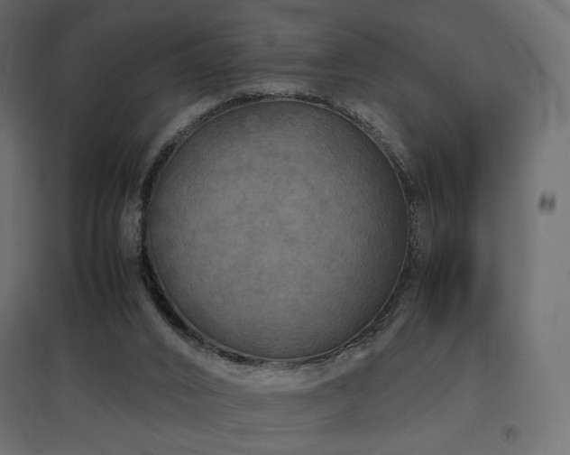 X0000097760016200803071305