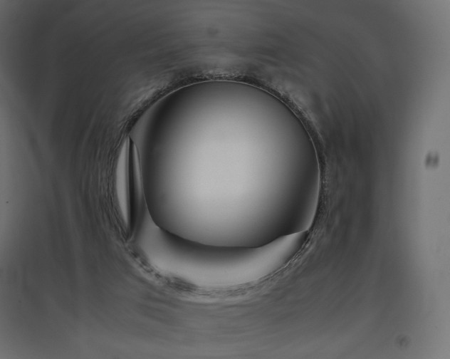 X0000097760017200803071305