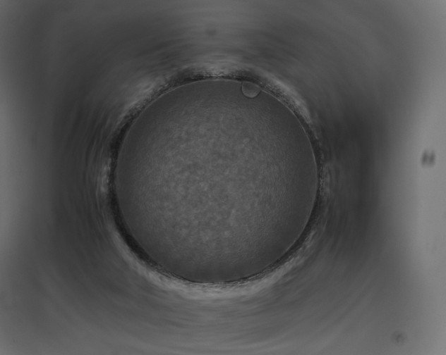 X0000097760018200803071305