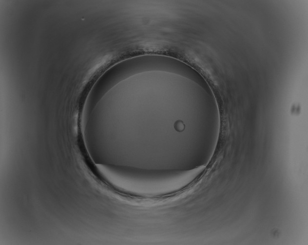 X0000097760019200803071305