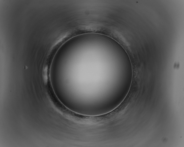 X0000097760020200803071305