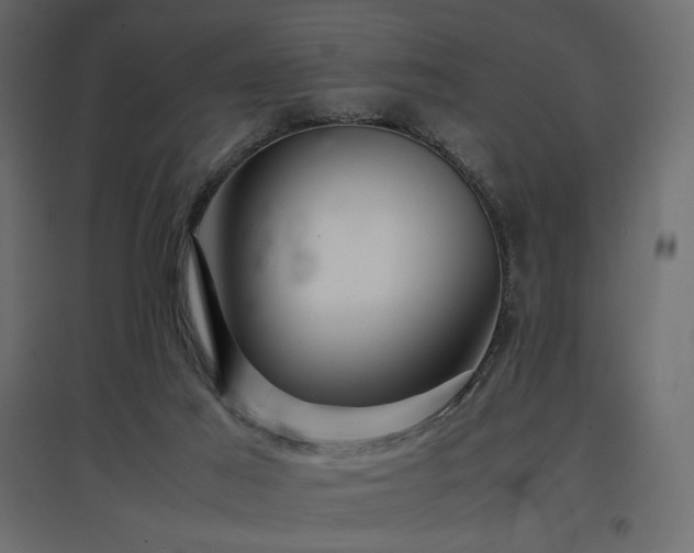 X0000097760021200803071305