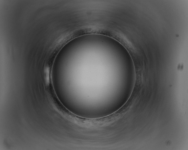 X0000097760022200803071305