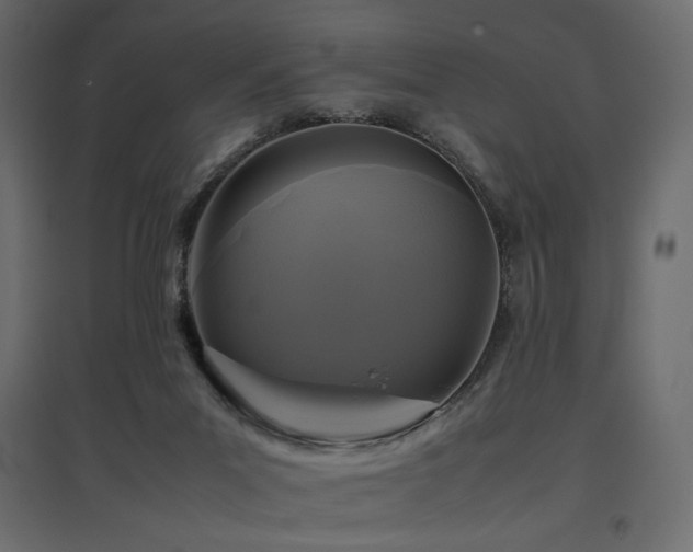 X0000097760023200803071305