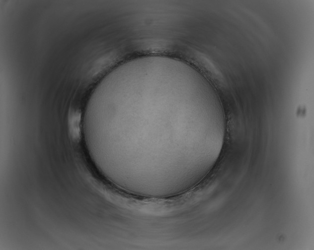 X0000097760024200803071305