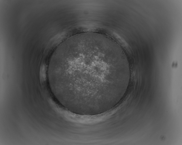 X0000097760026200803071305