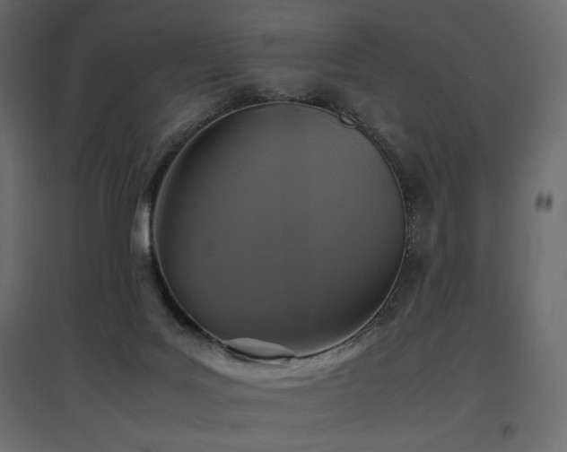 X0000097760027200803071305