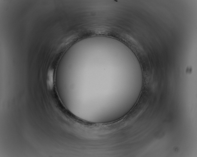 X0000097760028200803071305