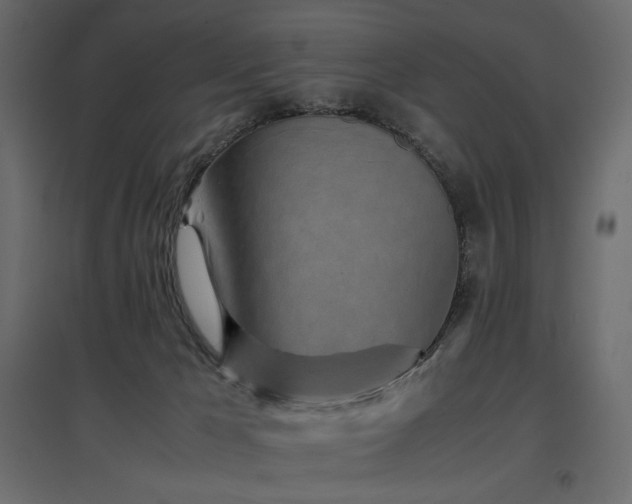 X0000097760029200803071305