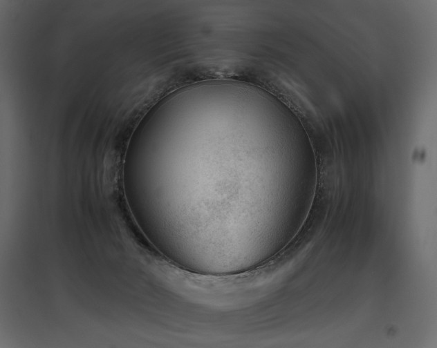 X0000097760030200803071305