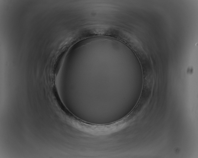 X0000097760031200803071305