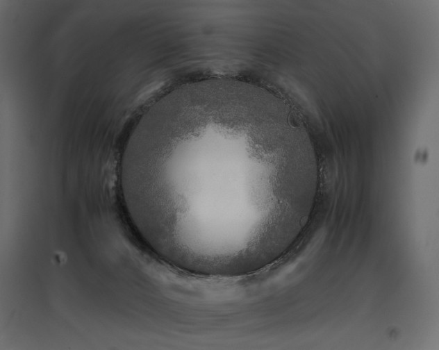 X0000097760032200803071305