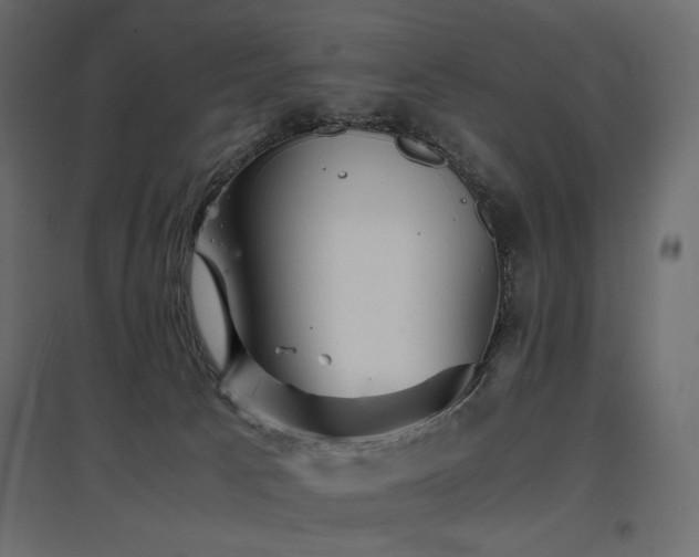 X0000097760033200803071305