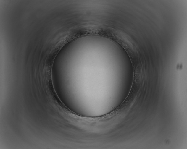 X0000097760034200803071305