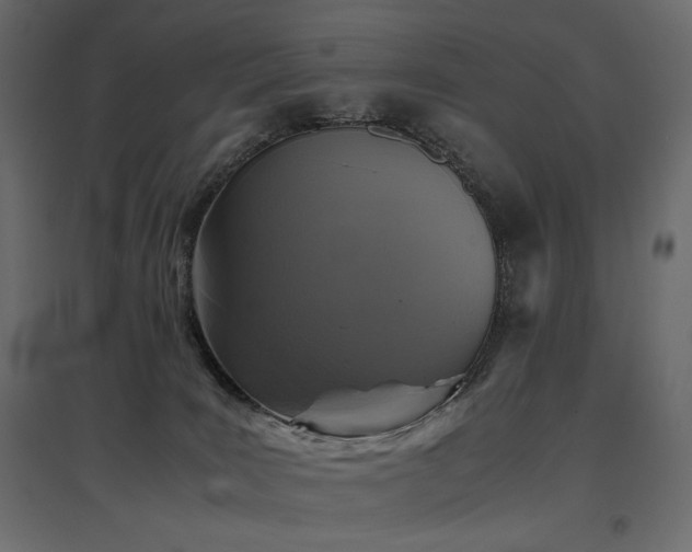 X0000097760035200803071305