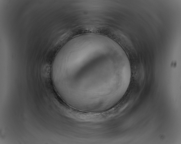 X0000097760036200803071305