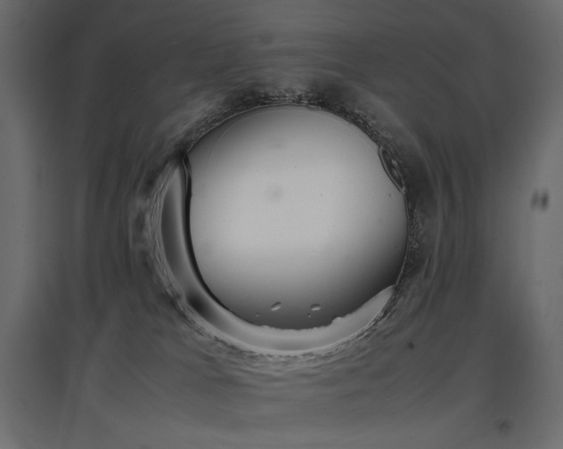 X0000097760037200803071305