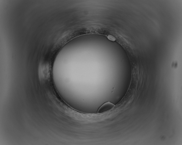 X0000097760038200803071305