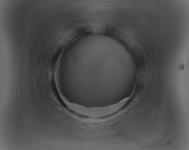 X0000097760039200803071305