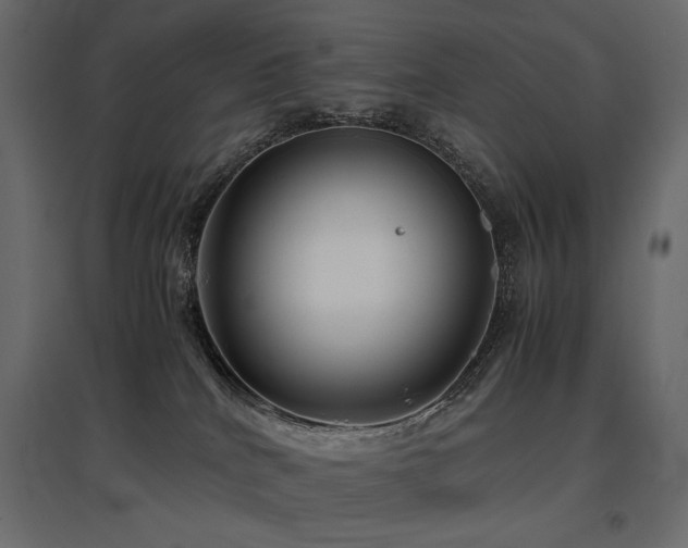 X0000097760040200803071305